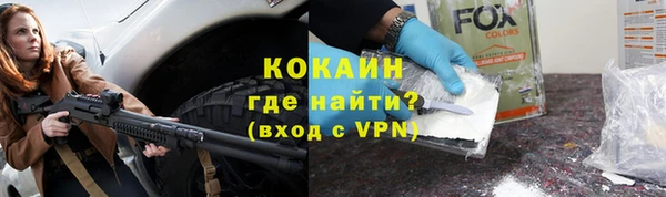 бошки Белокуриха