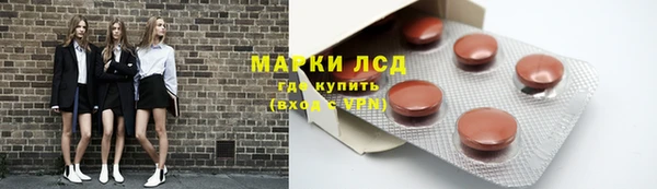 бошки Белокуриха