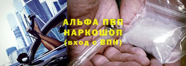 бошки Белокуриха