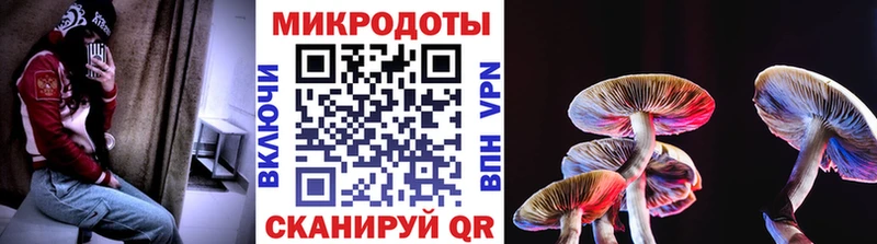 дарнет шоп  Кондрово  Псилоцибиновые грибы Magic Shrooms 